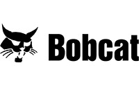 Bobcat